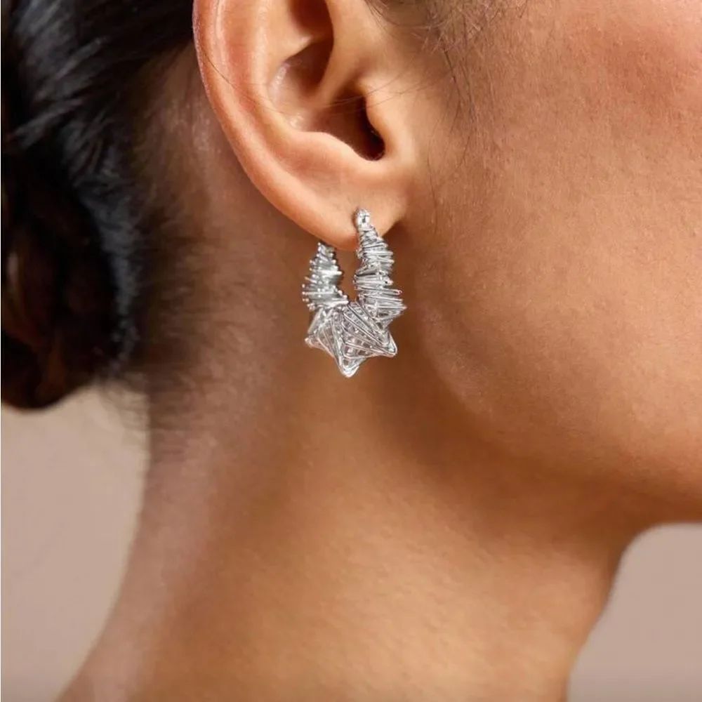 Silver Hoop Earrings Q543